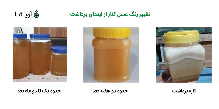 روند تغییر رنگ عسل کنار در طی 2 ماه